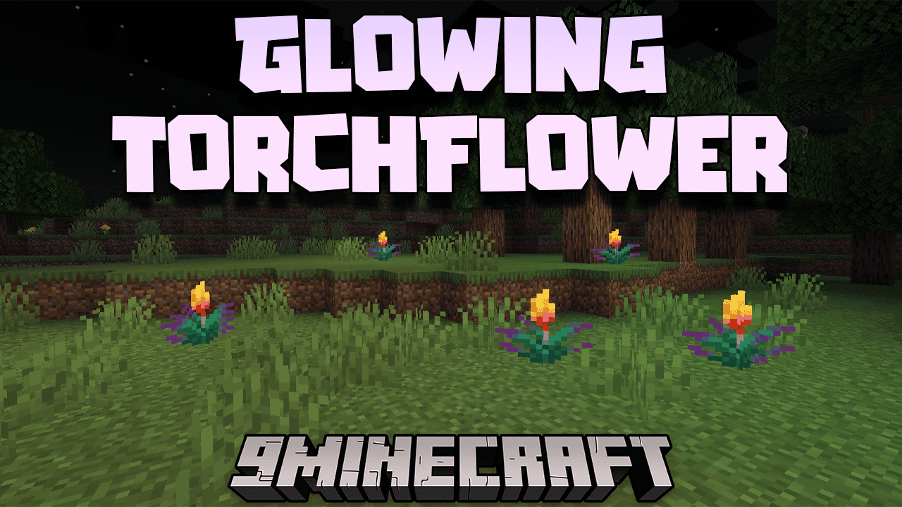 Glowing Torchflower Mod (1.21, 1.20.1) - Illuminating The Blooms 1