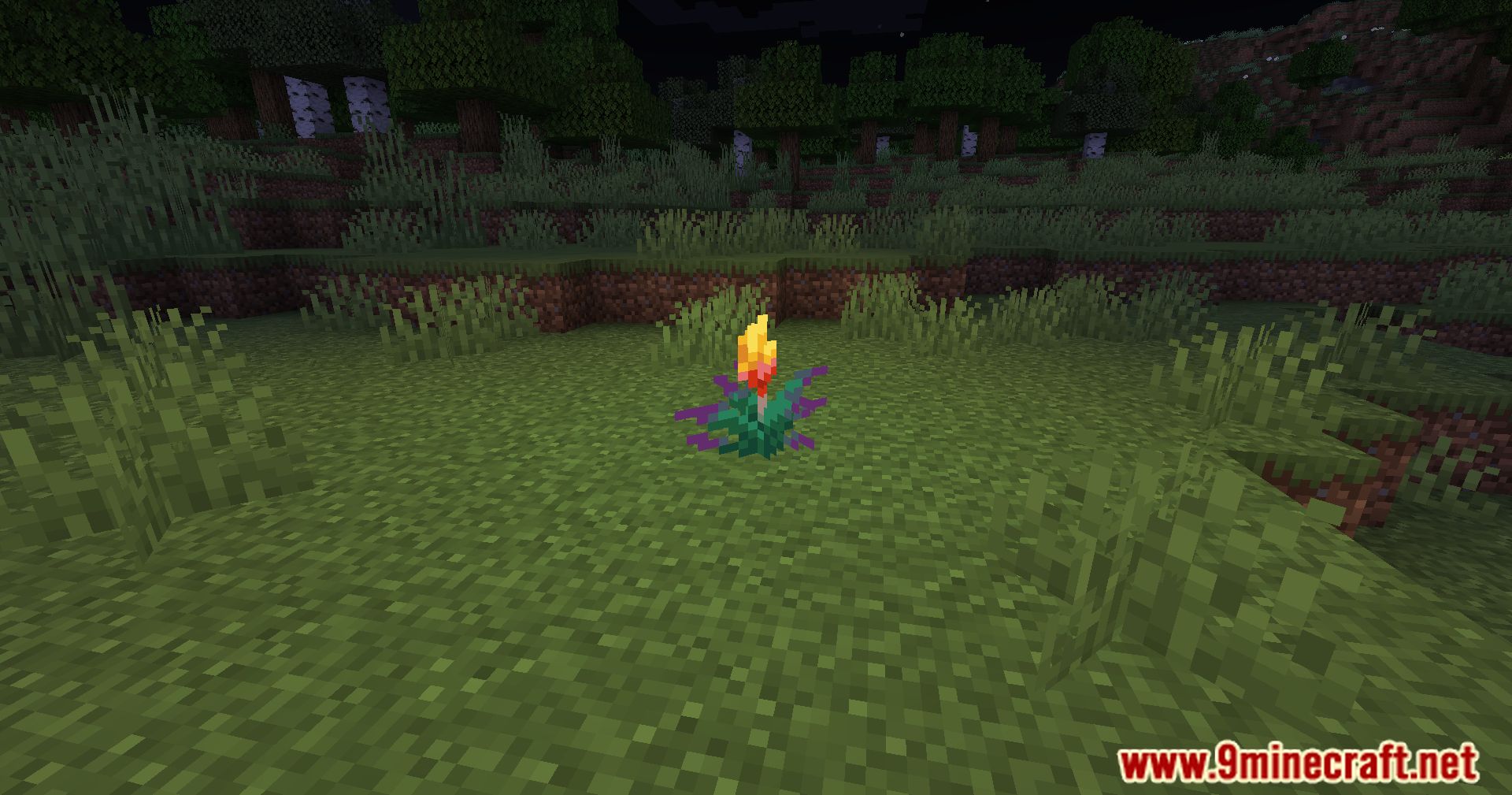 Glowing Torchflower Mod (1.21, 1.20.1) - Illuminating The Blooms 3