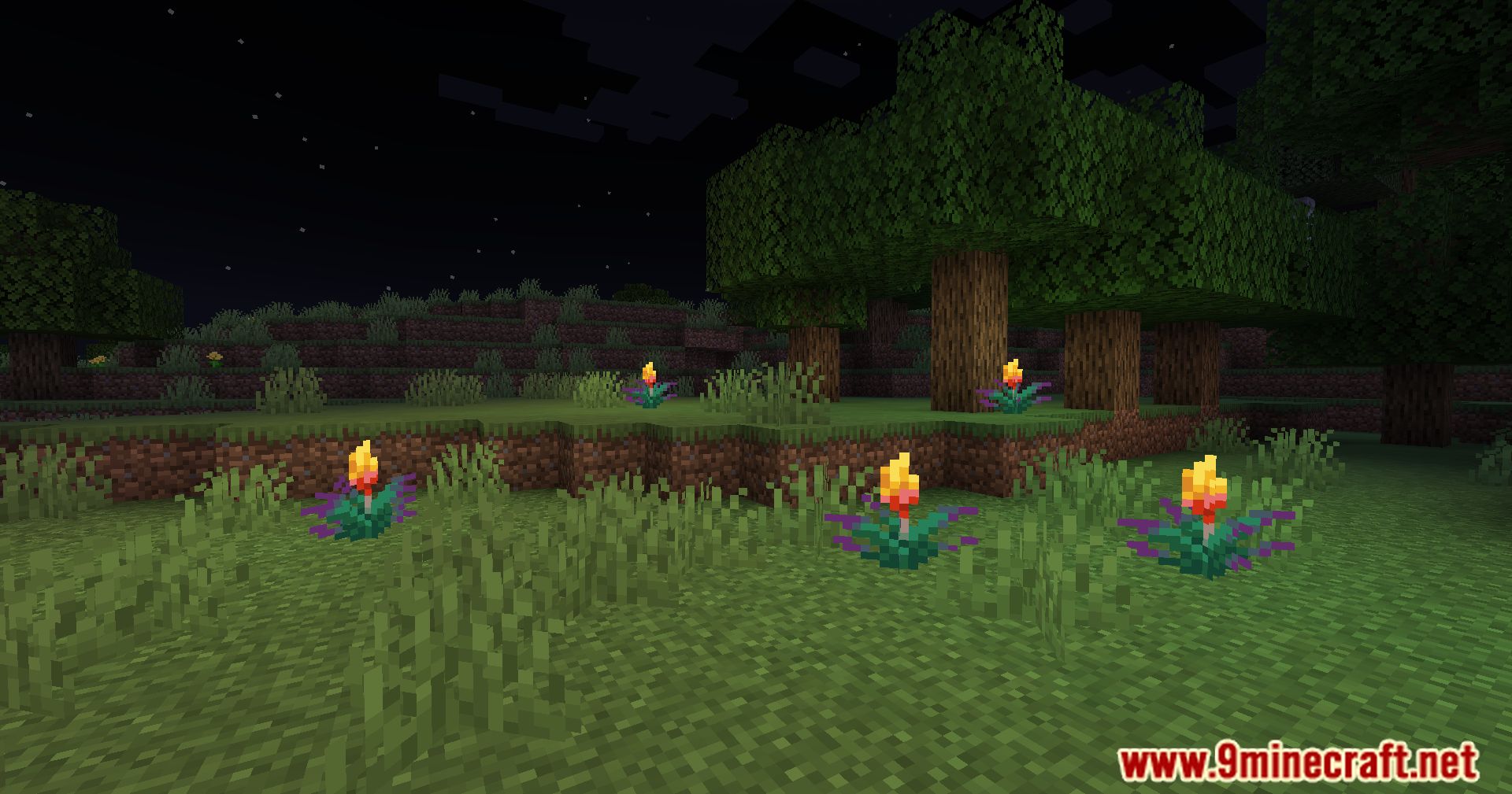 Glowing Torchflower Mod (1.21, 1.20.1) - Illuminating The Blooms 5