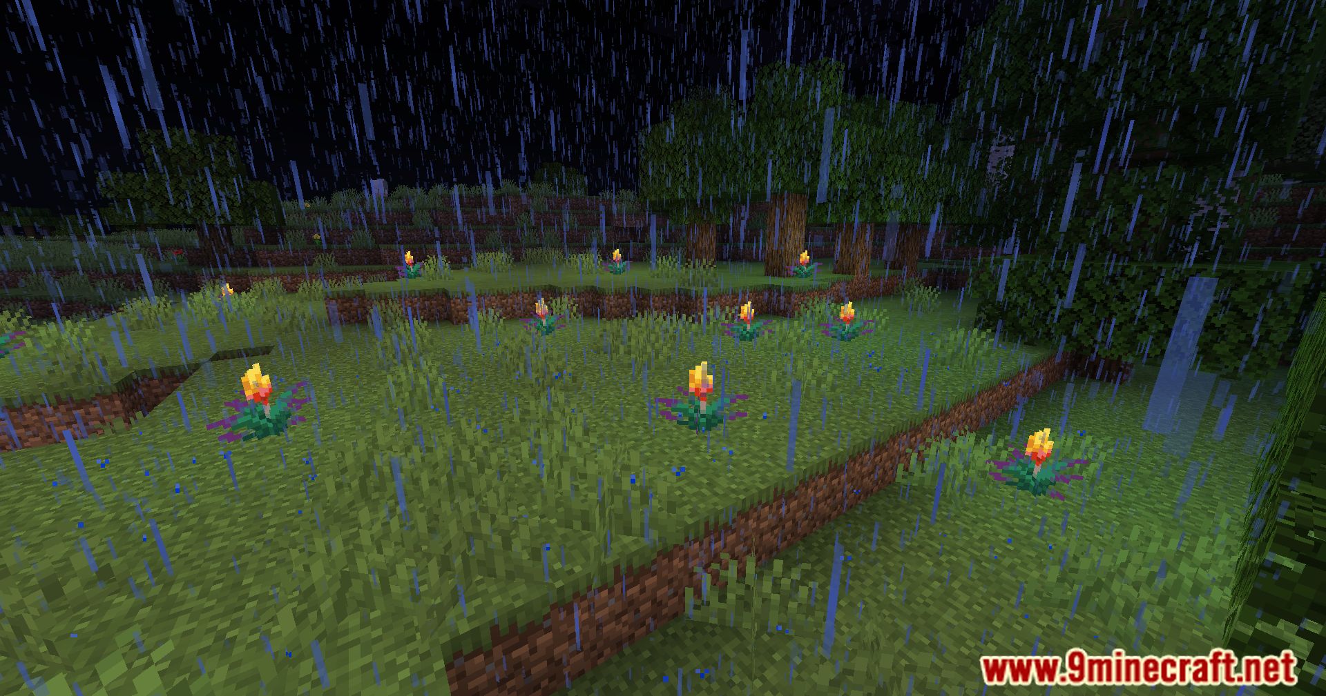 Glowing Torchflower Mod (1.21, 1.20.1) - Illuminating The Blooms 9