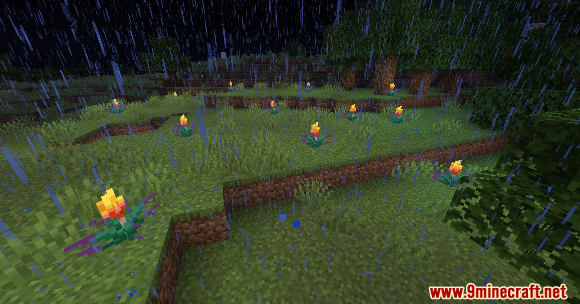 Glowing Torchflower Mod (1.21, 1.20.1) - Illuminating The Blooms 10