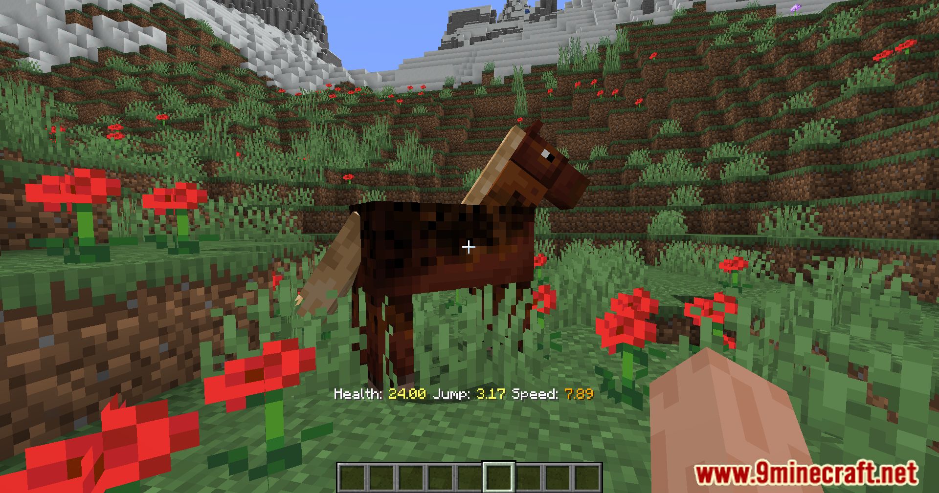 Horse Statistics Mod (1.20.4, 1.19.4) - Informed Choices 4