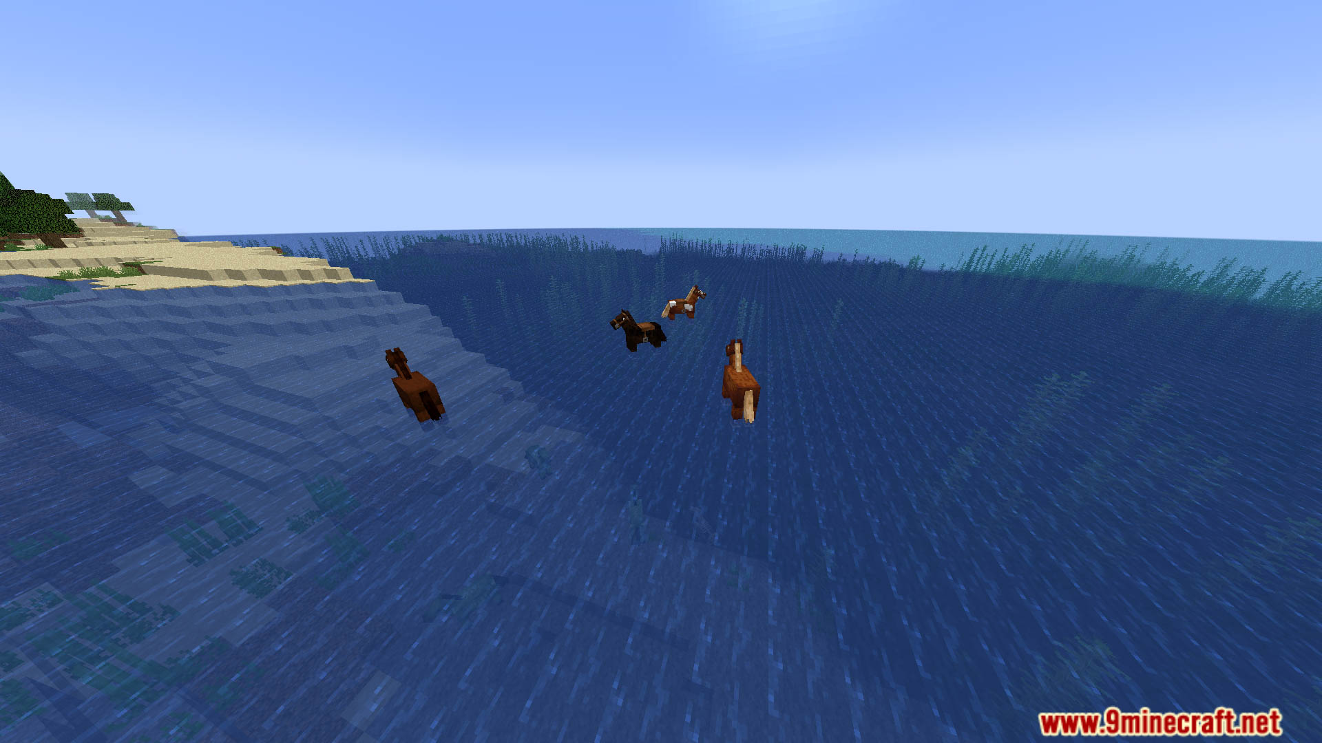 Horses Can Swim Data Pack (1.20.2, 1.19.4) - Let Your Horses Make a Splash! 5