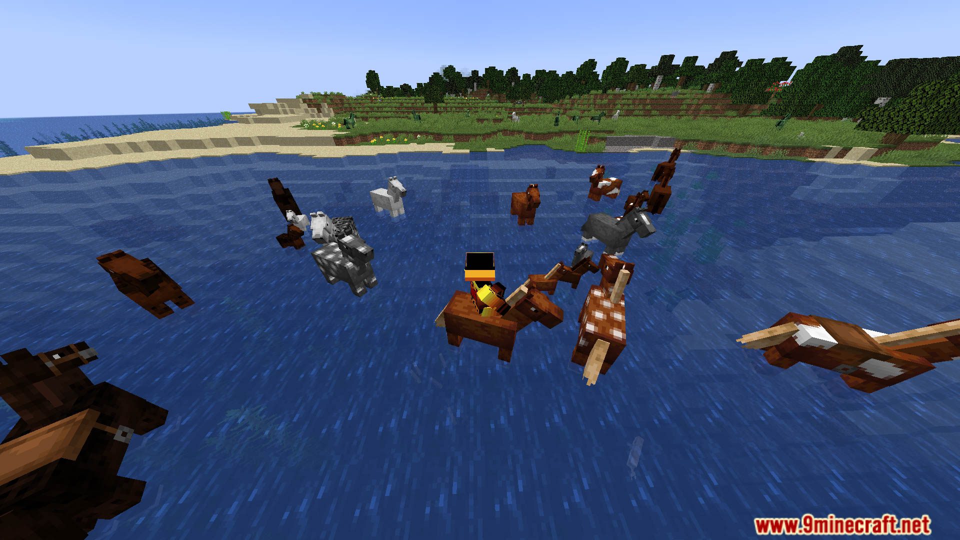 Horses Can Swim Data Pack (1.20.2, 1.19.4) - Let Your Horses Make a Splash! 9