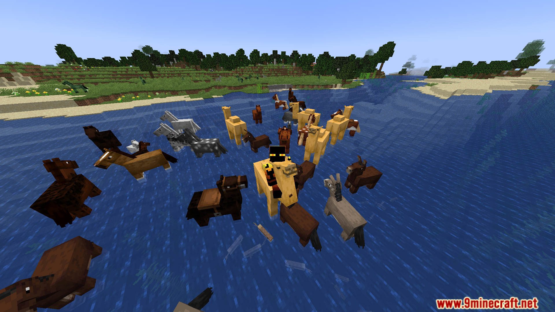 Horses Can Swim Data Pack (1.20.2, 1.19.4) - Let Your Horses Make a Splash! 10