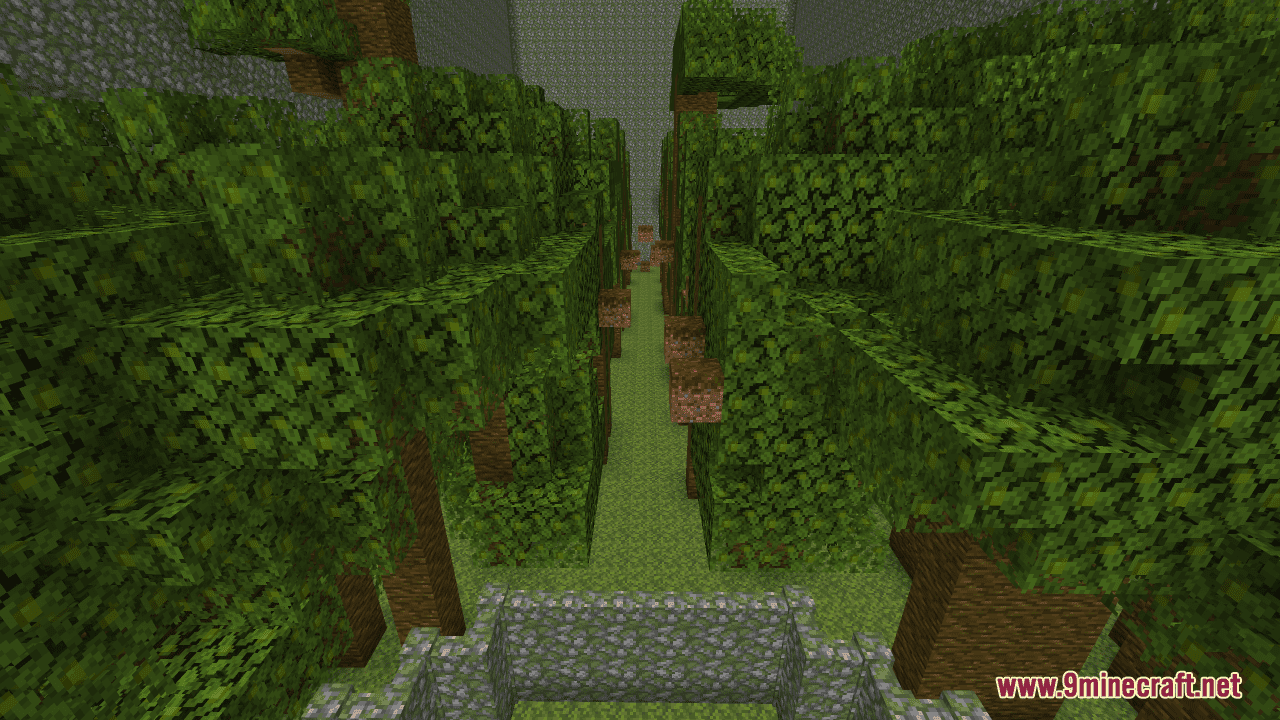 Just Only A Jump Away Map (1.21.1, 1.20.1) - JOAJA 6