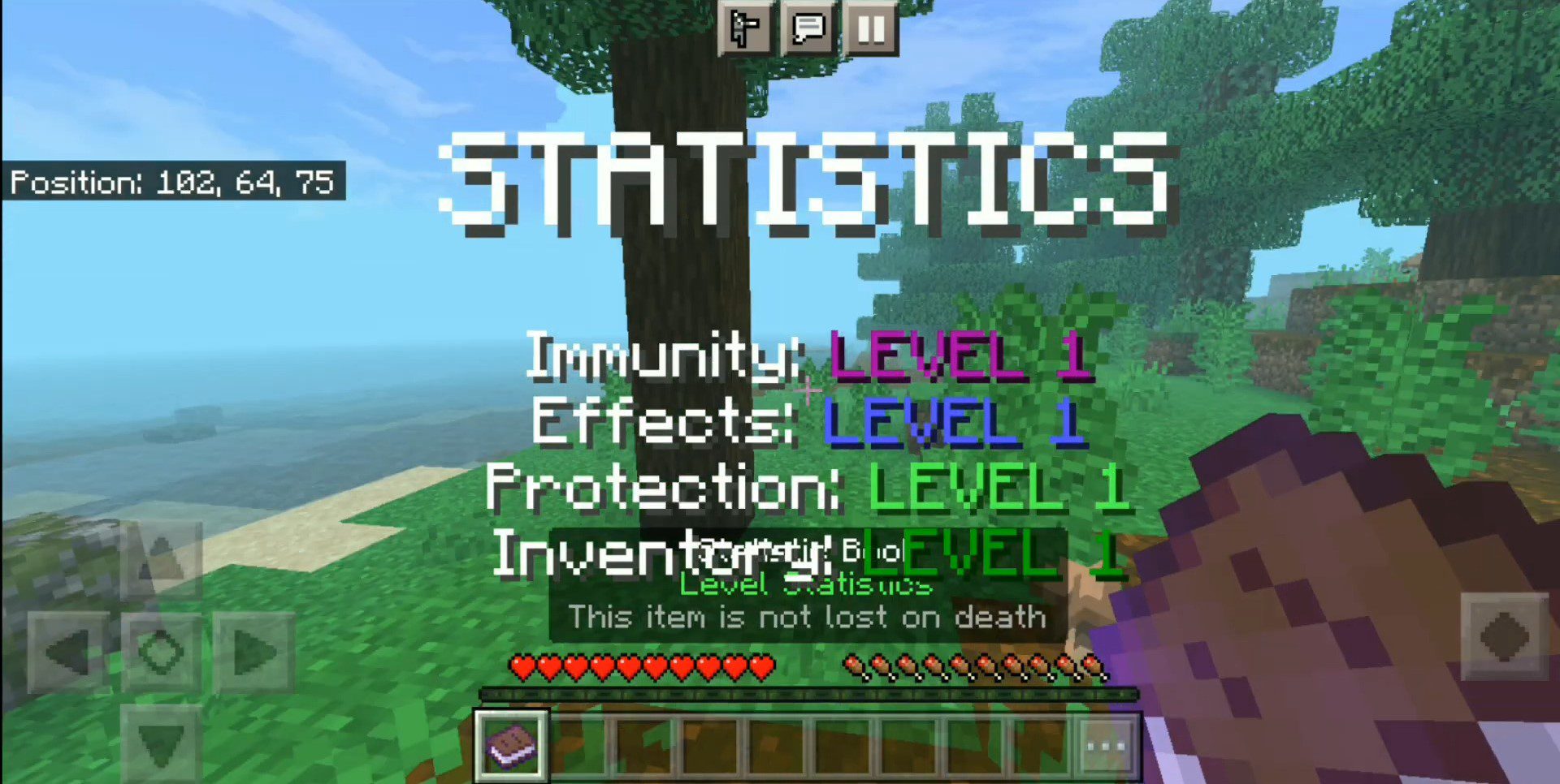 Level Statistics Addon (1.20) - MCPE/Bedrock Mod 5