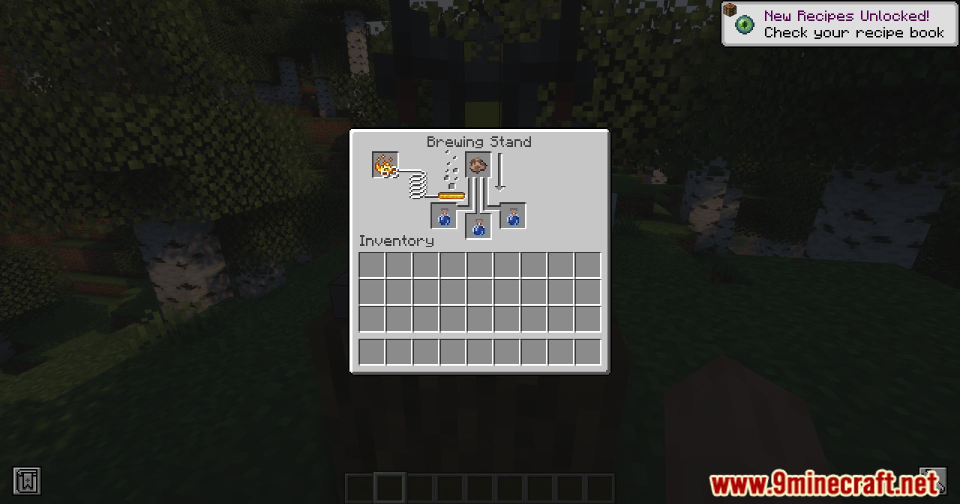 Mo' Potions Mod (1.19.2, 1.18.2) - Alchemy Reinvented 5