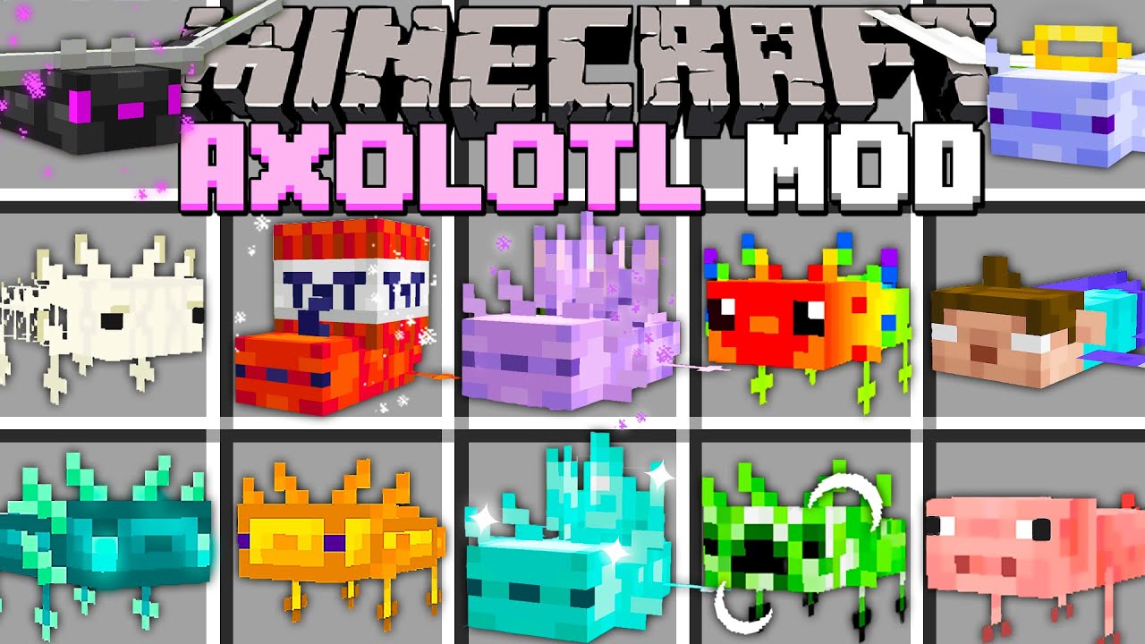 More Axolotl Mod (1.20.1, 1.19.2) - Many New Realistic Axolotl Types 1