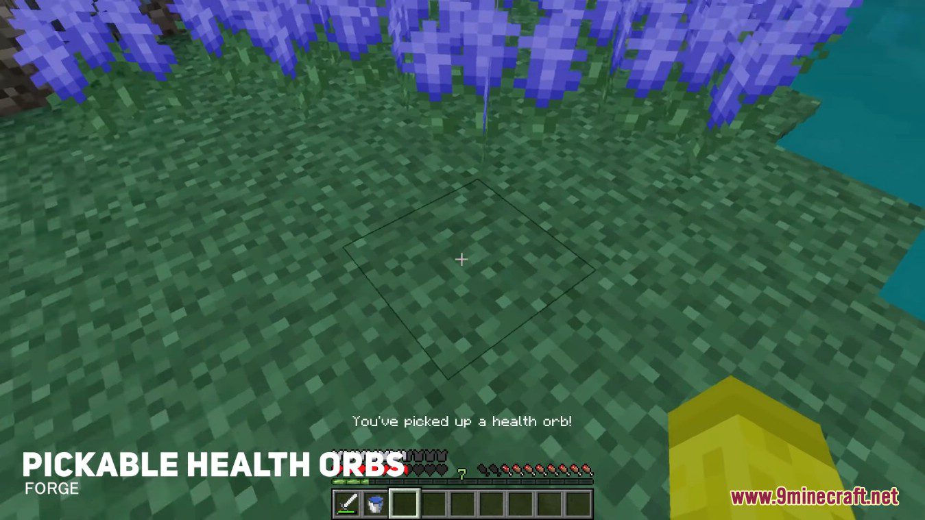 Pickable Health Orbs Mod (1.20.1, 1.19.2) - RPG Styled Configurable Pickups 8