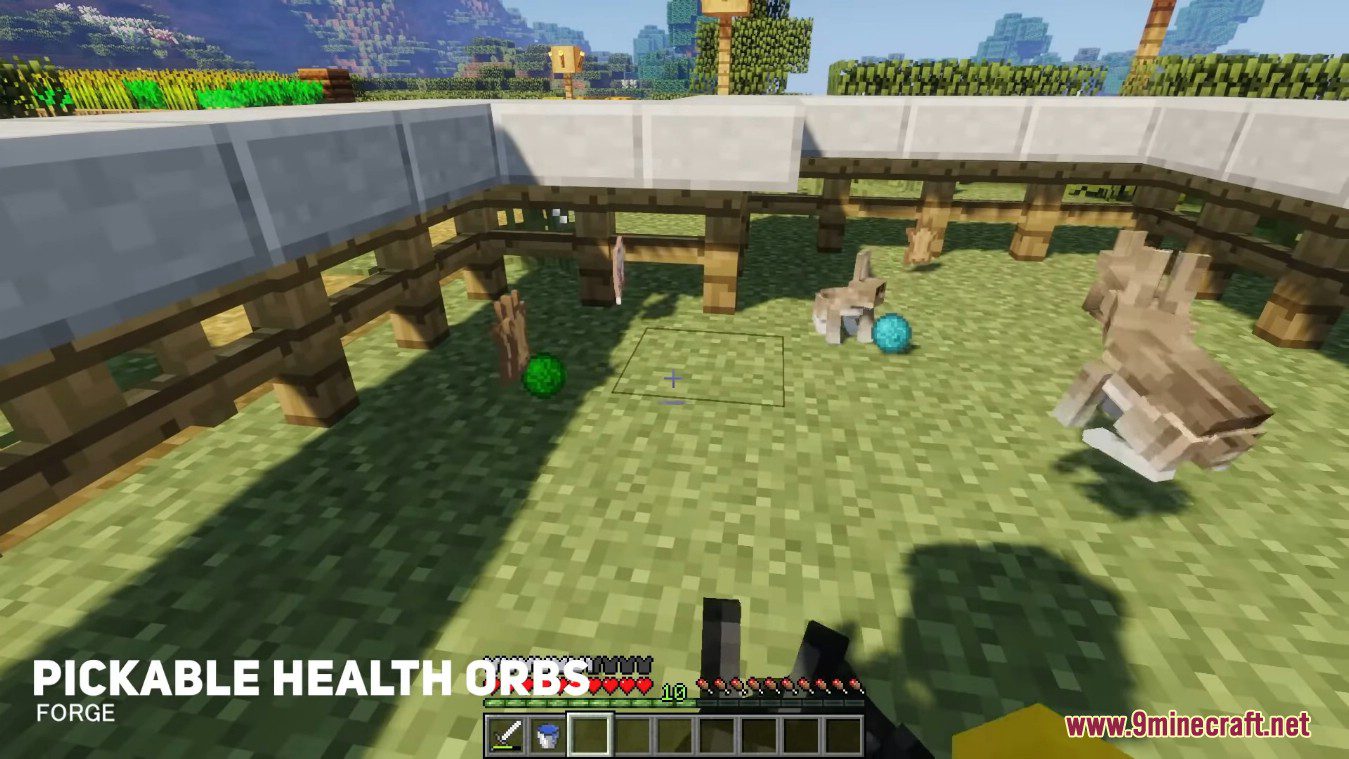 Pickable Health Orbs Mod (1.20.1, 1.19.2) - RPG Styled Configurable Pickups 9