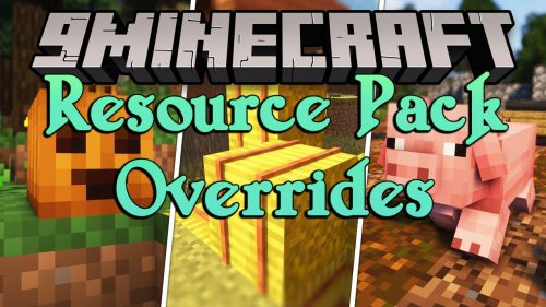 Resource Pack Overrides Mod (1.21.1, 1.20.1) – Ensure Stable Operation Thumbnail