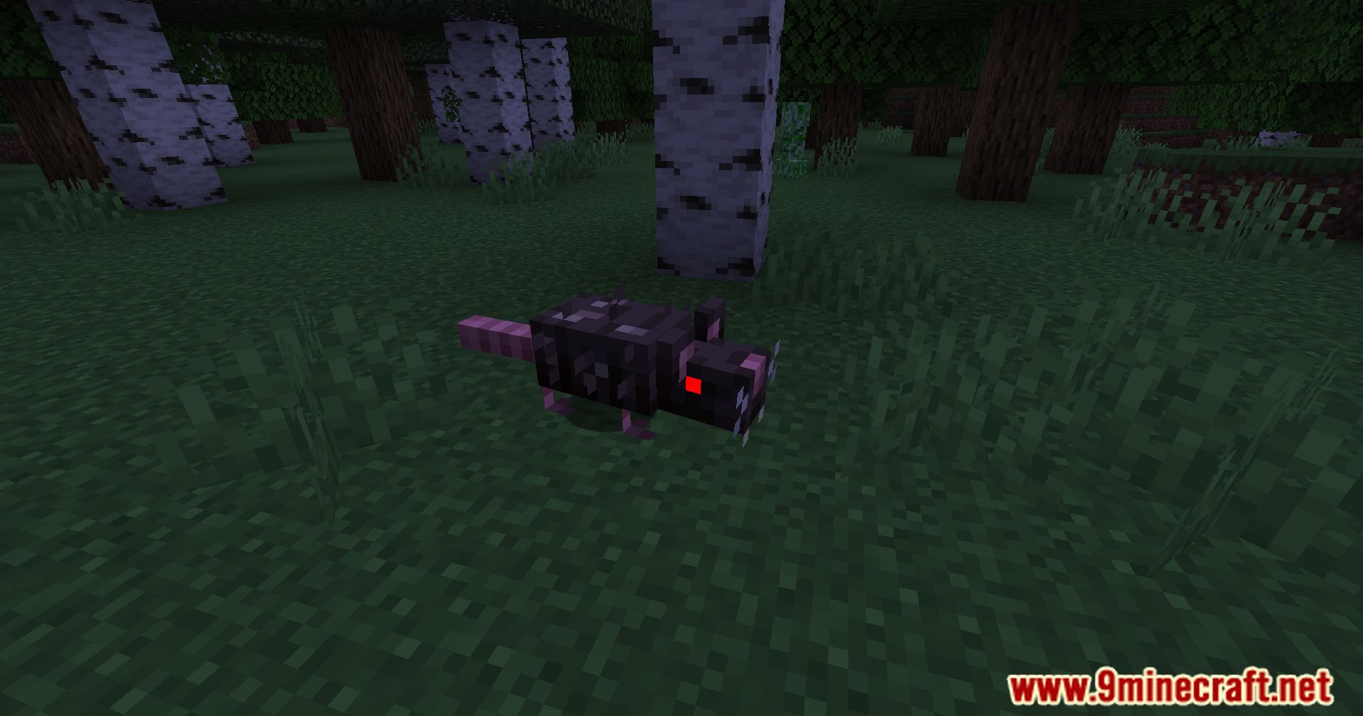 The Box Of Horrors Mod (1.20.1, 1.19.4) - Minecraft's Dark Descent 16