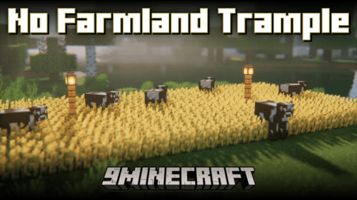 No Farmland Trample Mod (1.21, 1.20.1) – Disable Trampling Permanently Thumbnail