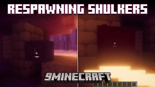 Respawning Shulkers Mod (1.21, 1.20.1) –  Shulkers Respawn Infinitely Thumbnail