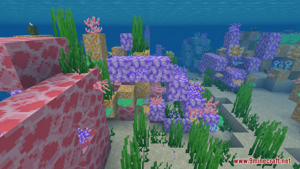 Tropical Coral Resource Pack (1.20.6, 1.20.1) - Texture Pack 2