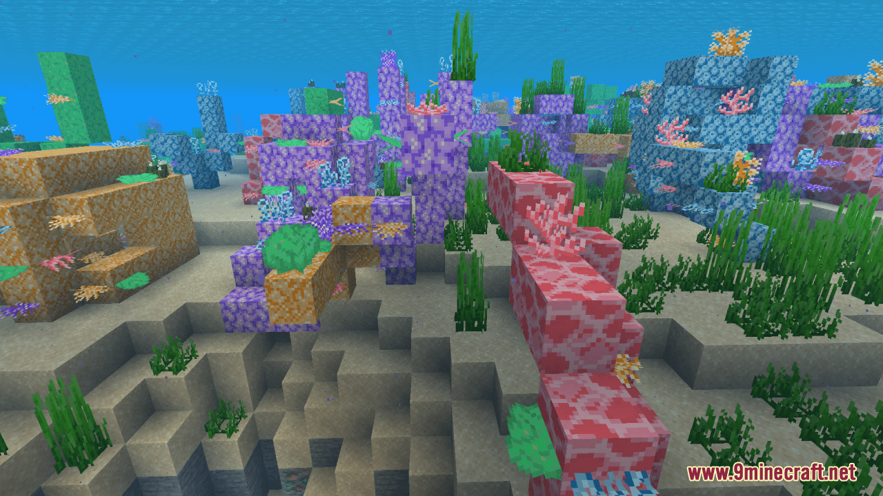 Tropical Coral Resource Pack (1.20.6, 1.20.1) - Texture Pack 11