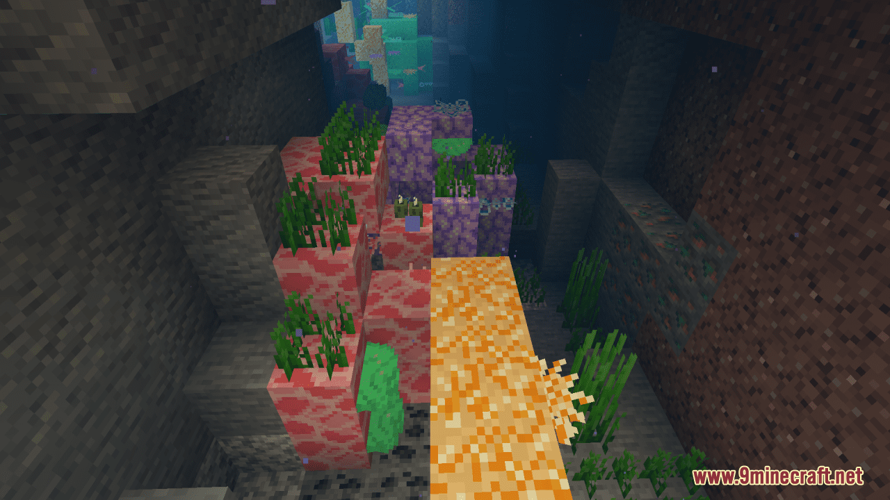 Tropical Coral Resource Pack (1.20.6, 1.20.1) - Texture Pack 6