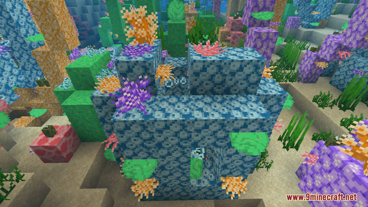 Tropical Coral Resource Pack (1.20.6, 1.20.1) - Texture Pack 8