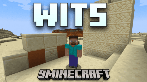 WITS Mod (1.20.4, 1.19.2) – Navigate Your World With Insight Thumbnail