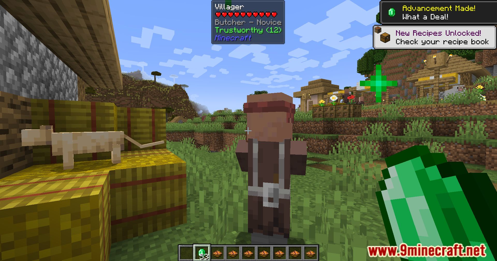 Your Reputation Mod (1.20.4, 1.19.4) - Villager Relations Refined 5