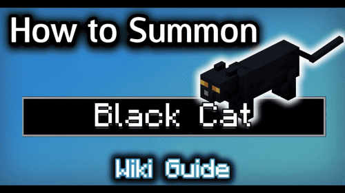 How to Summon a Black Cat – Wiki Guide Thumbnail