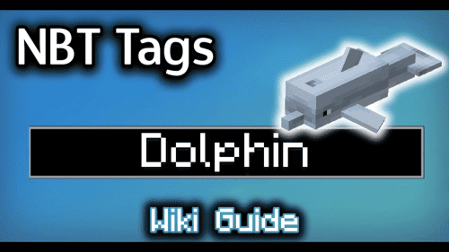 NBT Tags for Dolphin – Wiki Guide Thumbnail