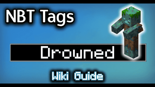 NBT Tags for Drowned – Wiki Guide Thumbnail