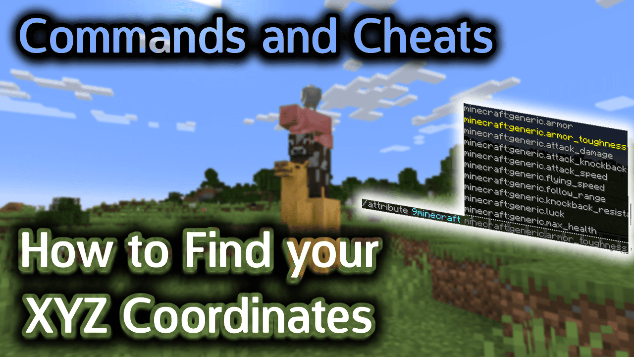 How to Find your XYZ Coordinates - Wiki Guide 1