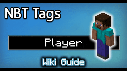 NBT Tags for Player – Wiki Guide Thumbnail