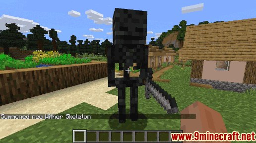 How to Summon a Wither Skeleton - Wiki Guide 8