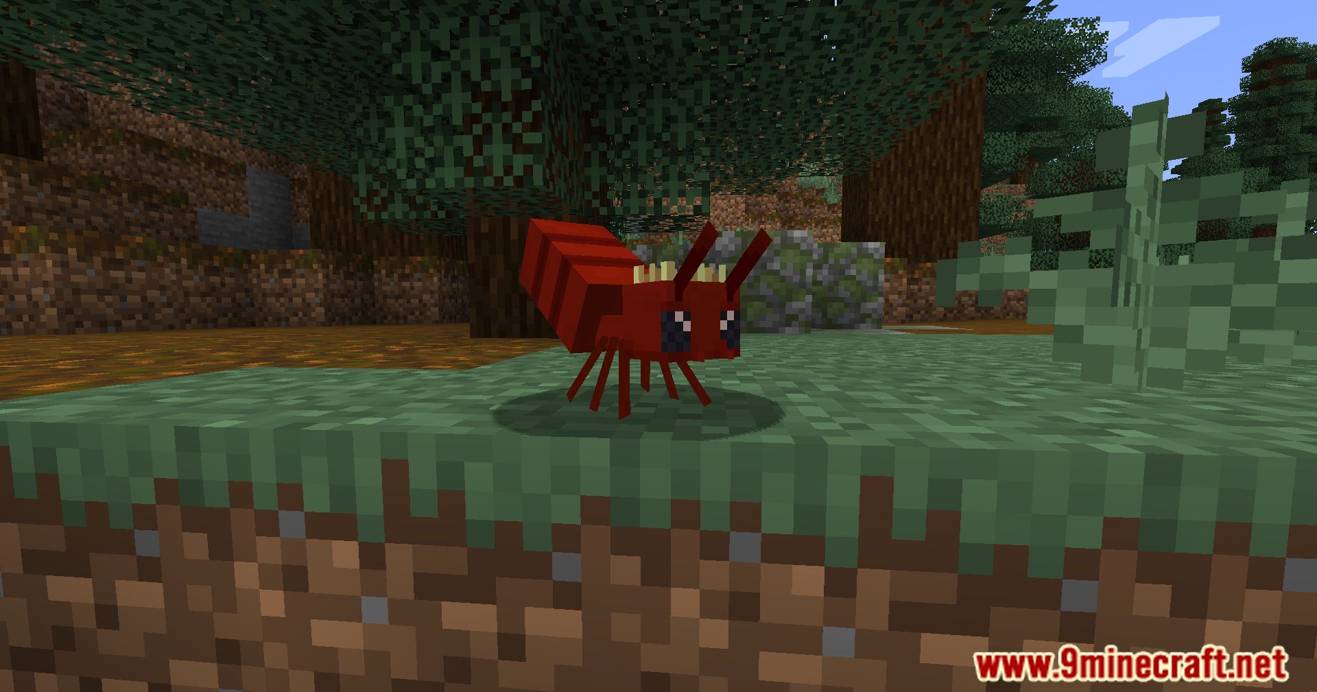 Antsportation Mod (1.20.1, 1.19.2) - Revolutionize Your Item Transport With Cute Ant Companions 7