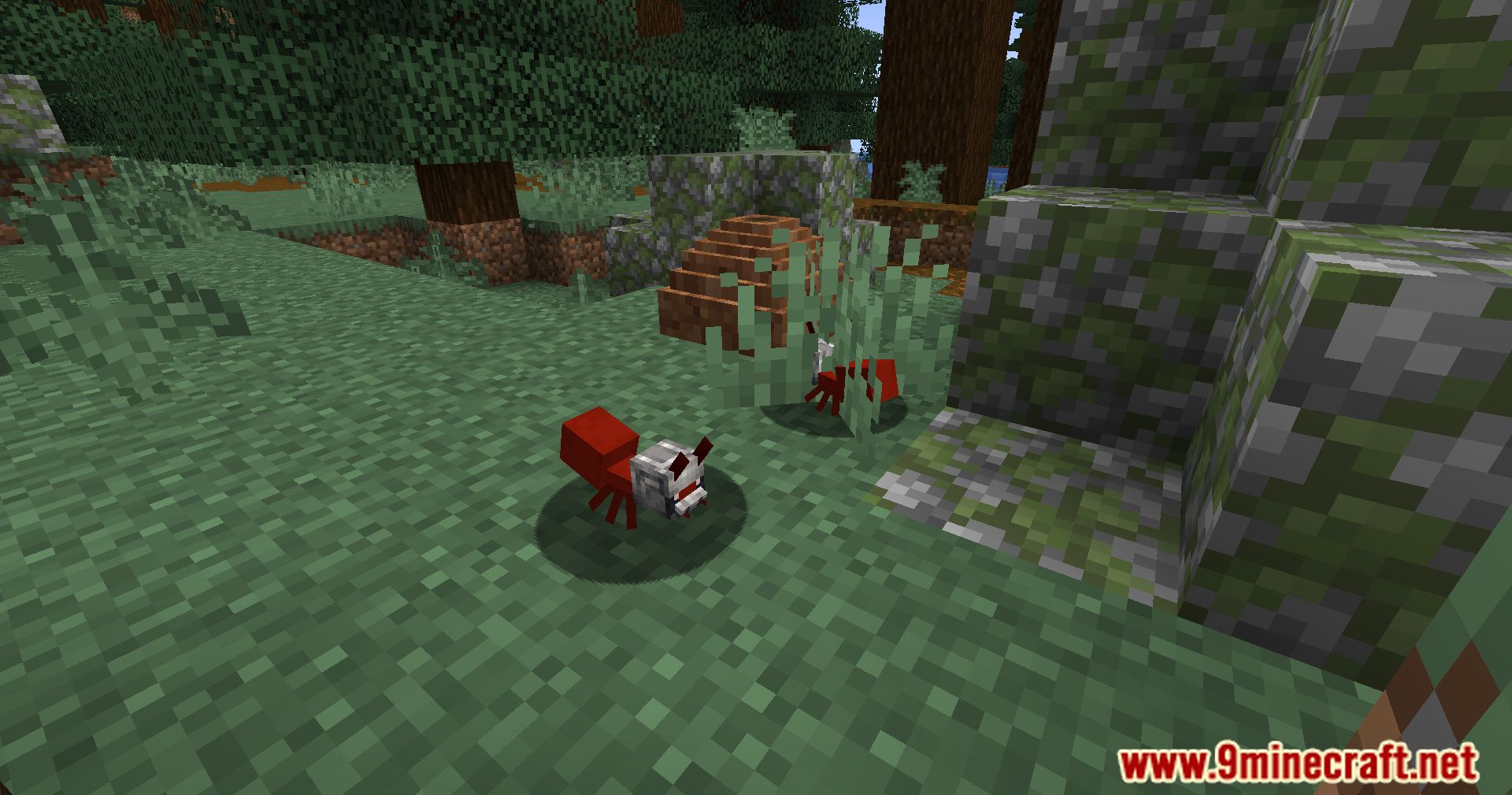 Antsportation Mod (1.20.1, 1.19.2) - Revolutionize Your Item Transport With Cute Ant Companions 9