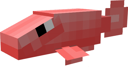 Aquatic Life Addon (1.20, 1.19) - MCPE/Bedrock Mod 10