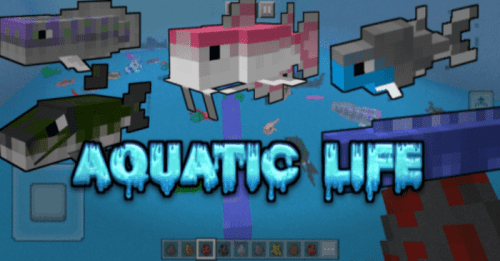 Aquatic Life Addon (1.20, 1.19) – MCPE/Bedrock Mod Thumbnail