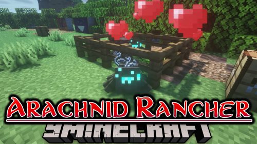 Arachnid Rancher Mod (1.19.2, 1.18.2) – Cutest Harmless Domestic Spiders Thumbnail