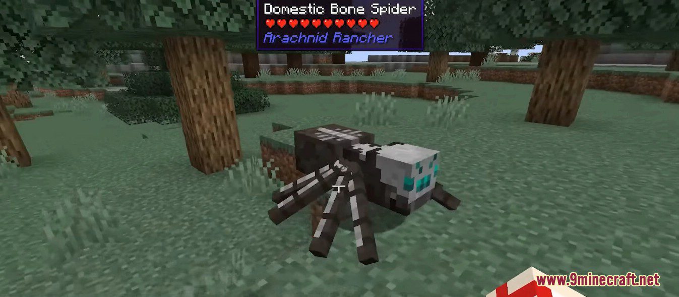 Arachnid Rancher Mod (1.19.2, 1.18.2) - Cutest Harmless Domestic Spiders 13