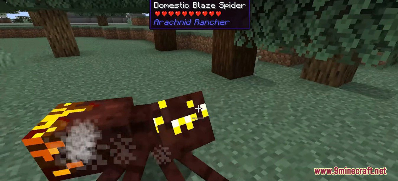 Arachnid Rancher Mod (1.19.2, 1.18.2) - Cutest Harmless Domestic Spiders 14