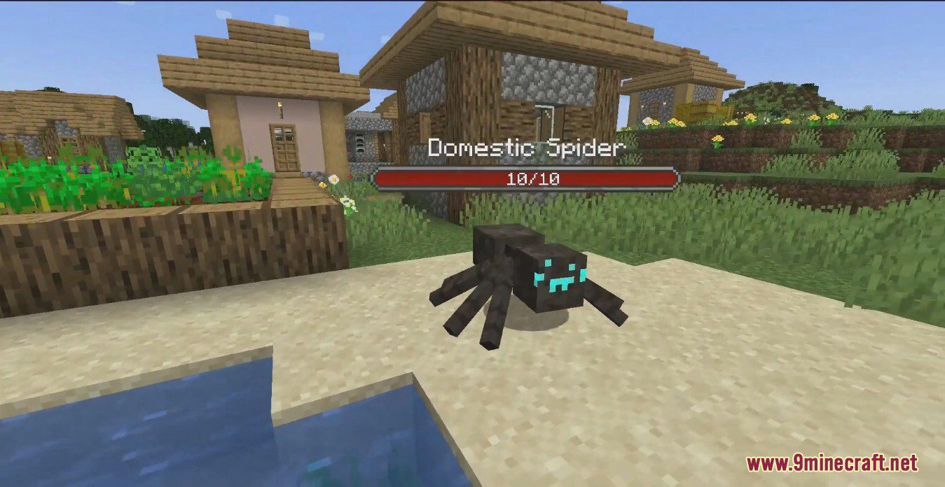 Arachnid Rancher Mod (1.19.2, 1.18.2) - Cutest Harmless Domestic Spiders 8