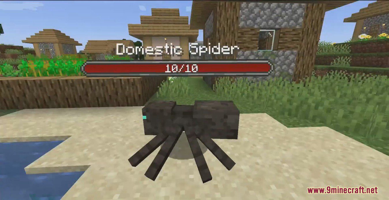 Arachnid Rancher Mod (1.19.2, 1.18.2) - Cutest Harmless Domestic Spiders 9