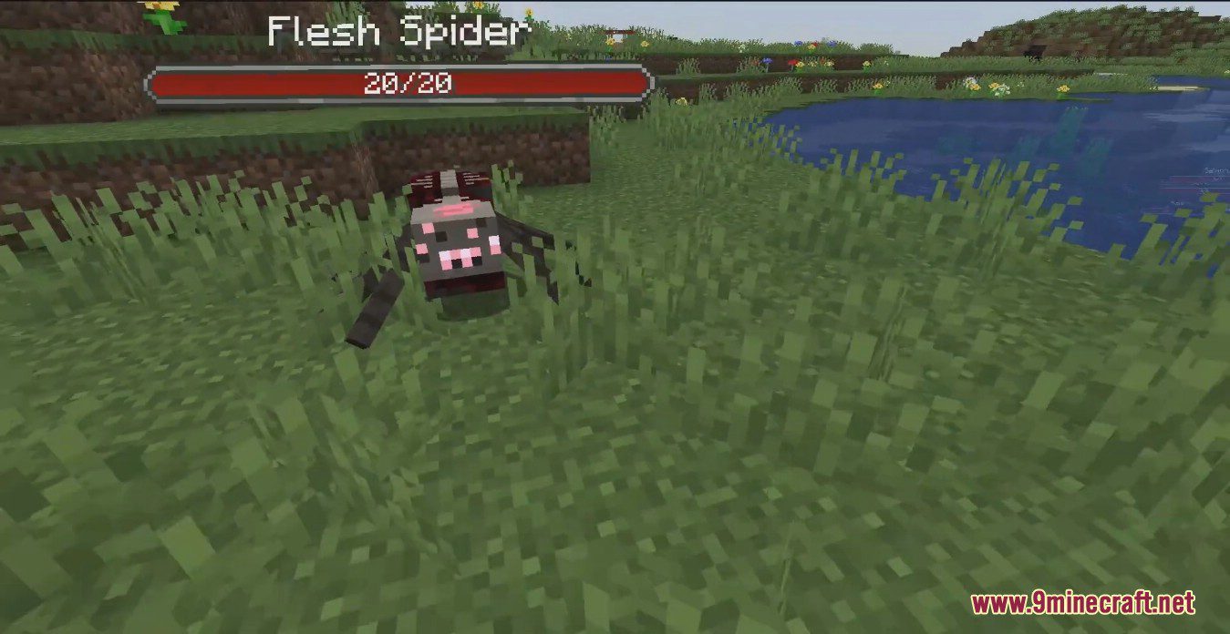 Arachnid Rancher Mod (1.19.2, 1.18.2) - Cutest Harmless Domestic Spiders 10