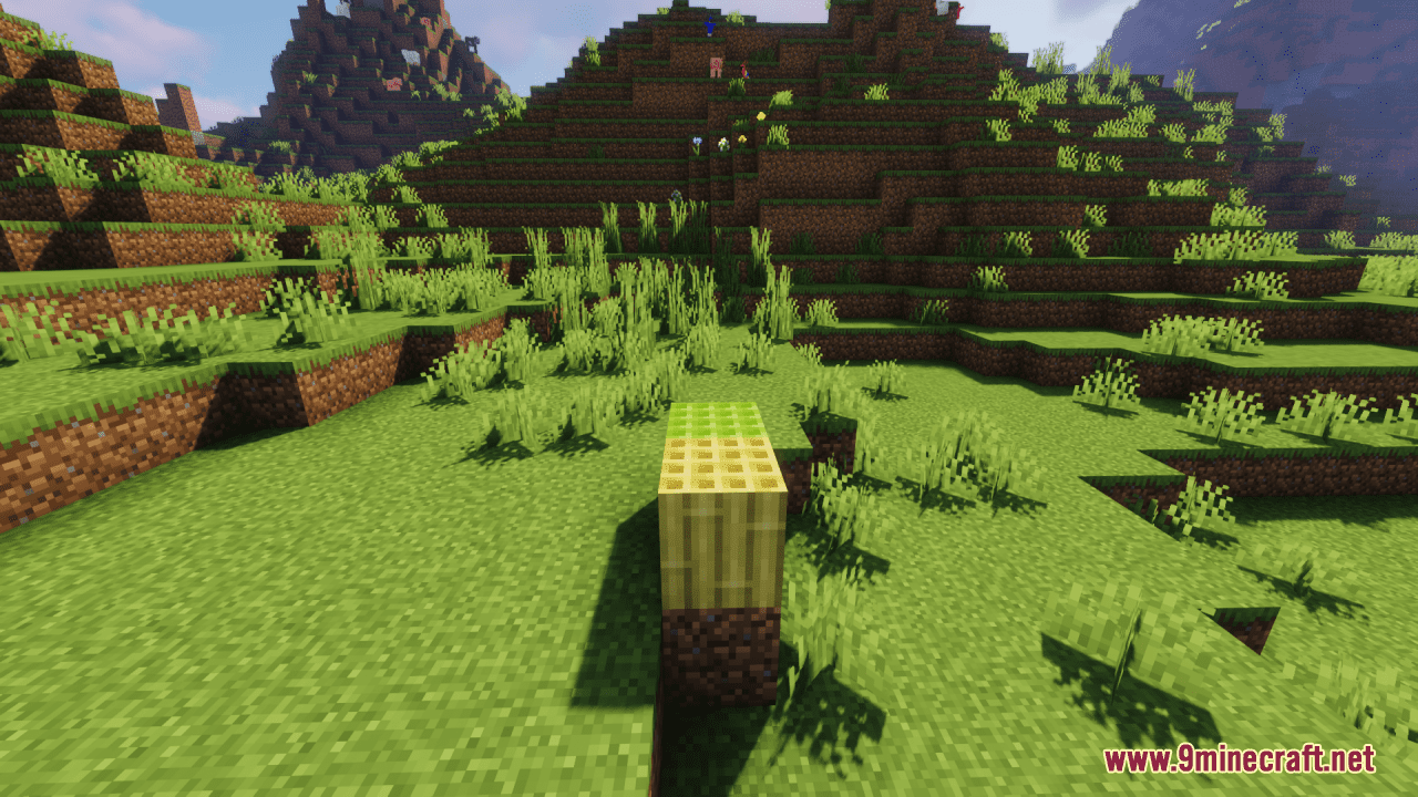 Bamboo Texture Fix Resource Pack (1.20.6, 1.20.1) - Texture Pack 11