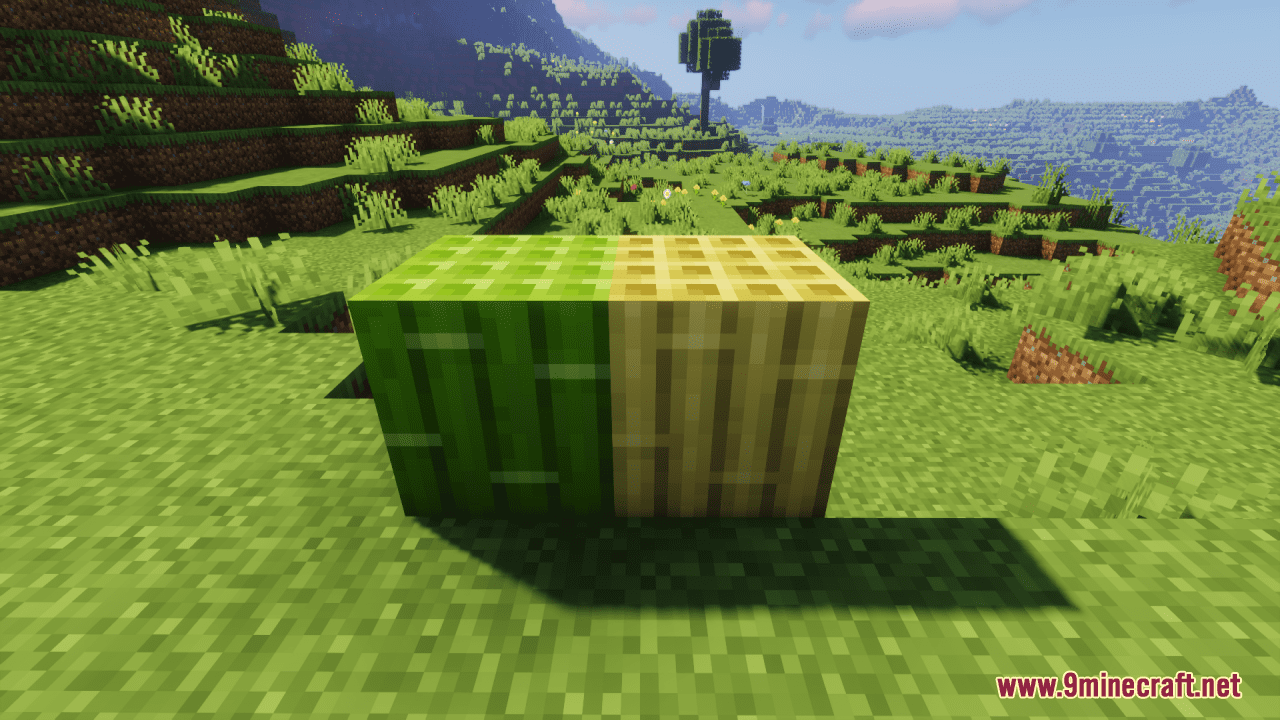 Bamboo Texture Fix Resource Pack (1.20.6, 1.20.1) - Texture Pack 9