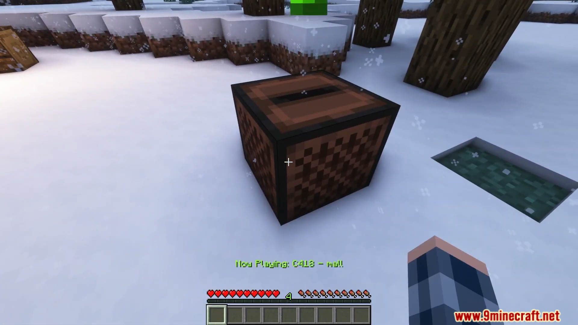 Christmas Spirit Data Pack (1.20.4, 1.19.4) - Infuse Your Minecraft World with Festive Magic! 6