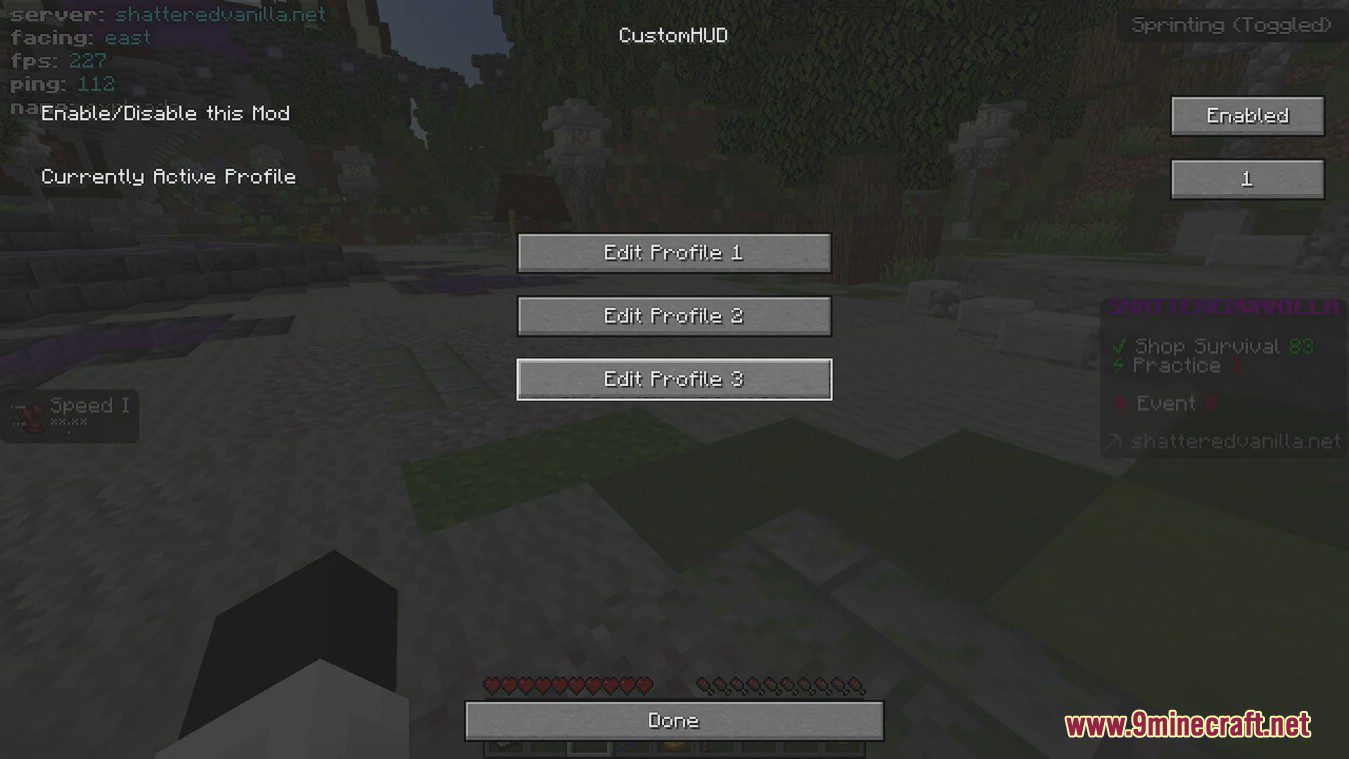 CustomHud Mod (1.20.4, 1.19.4) - Highly Customizable Variable-Based Text Hud 7