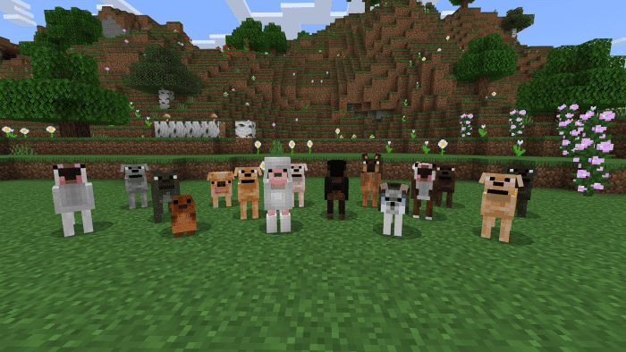 Dogs Expansion Addon (1.20) - MCPE/Bedrock Mod 17