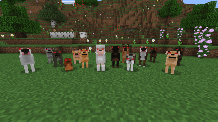 Dogs Expansion Addon (1.20) - MCPE/Bedrock Mod 18