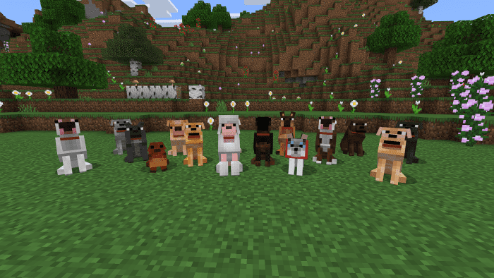 Dogs Expansion Addon (1.20) - MCPE/Bedrock Mod 19