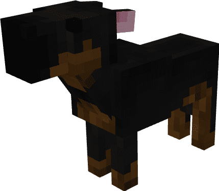 Dogs Expansion Addon (1.20) - MCPE/Bedrock Mod 5