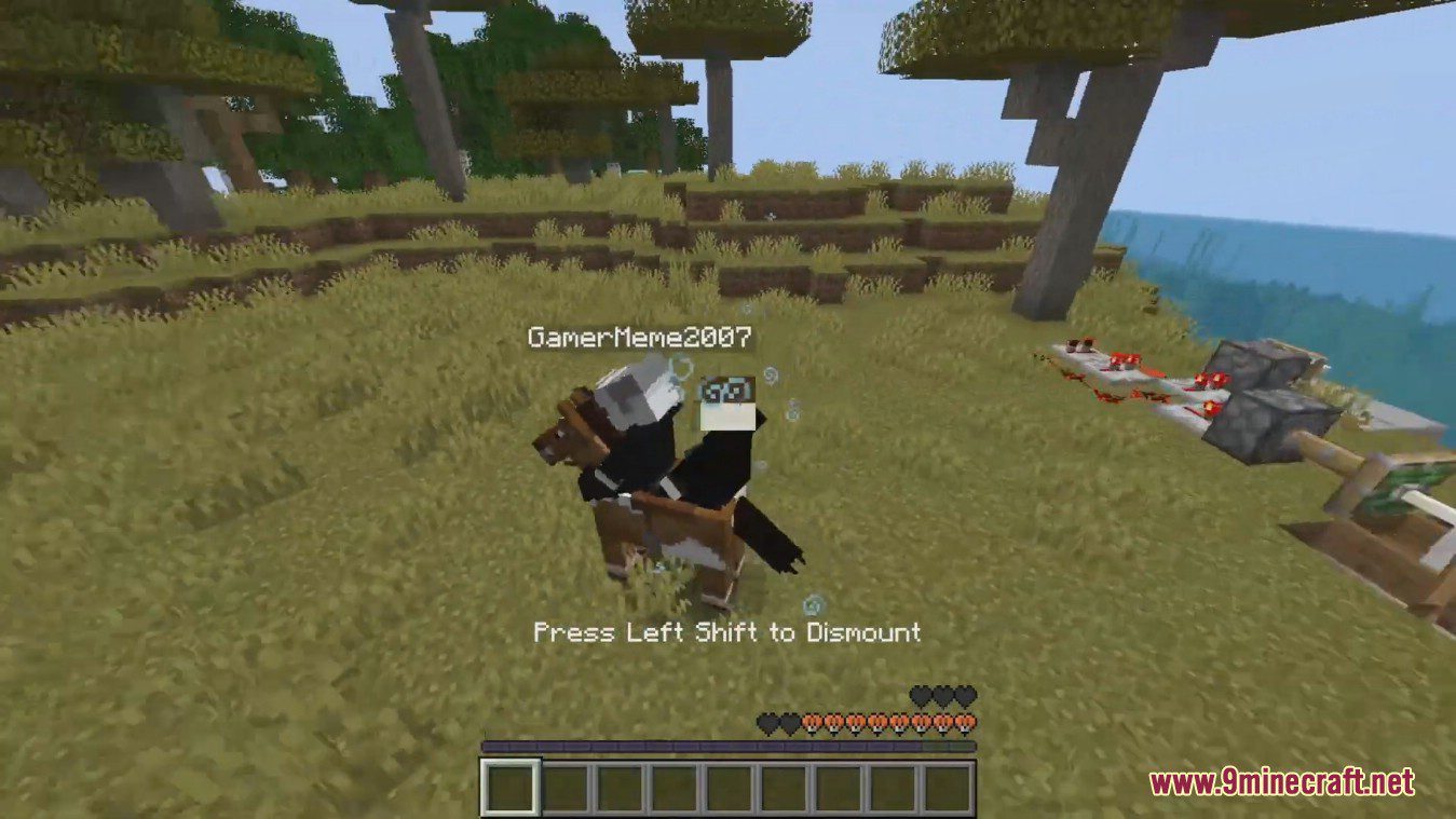 Dual Riders Mod (1.19.2, 1.18.2) - Two Players One Horse 4